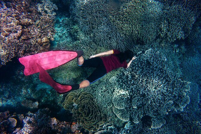 Blou lagoon snorkeling all incllusive - An In-Depth Look at the Experience