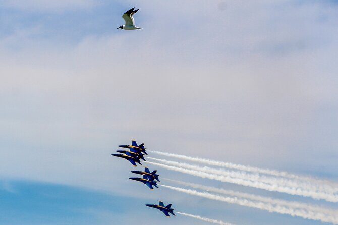 Blue Angels Air Show Viewing Boat in Key West - Key Points