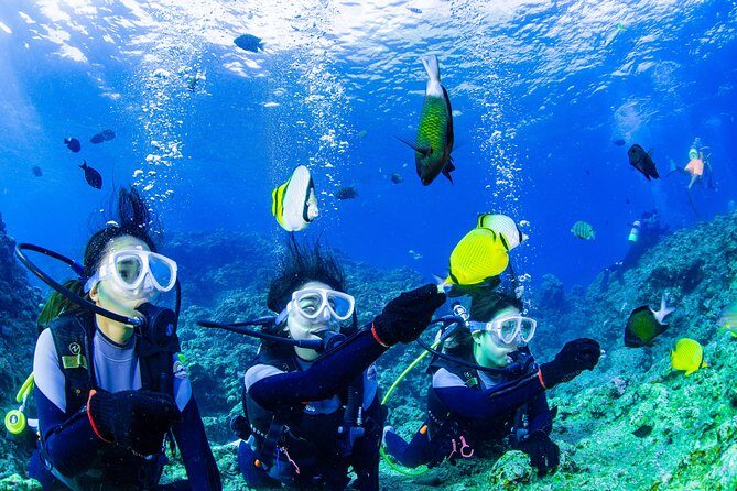 Blue cave experience diving [charter system / boat holding] | I am very satisfied with the beautiful facilities of the shop - The Itinerary: What to Expect