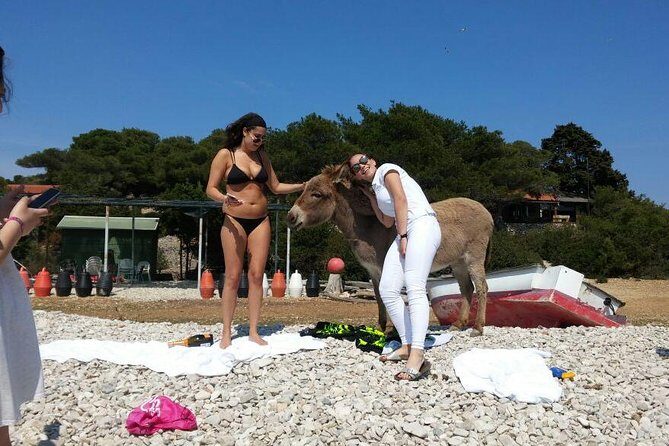 Blue Cave, Hvar and Five islands - Small-Group Tour From Split - The Journey & Group Size