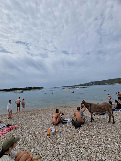 Blue cave private tour from Hvar - Final Thoughts