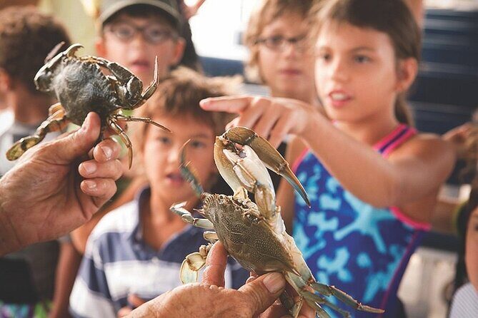 Blue Crabbing Excursion - The Itinerary and What You Can Expect