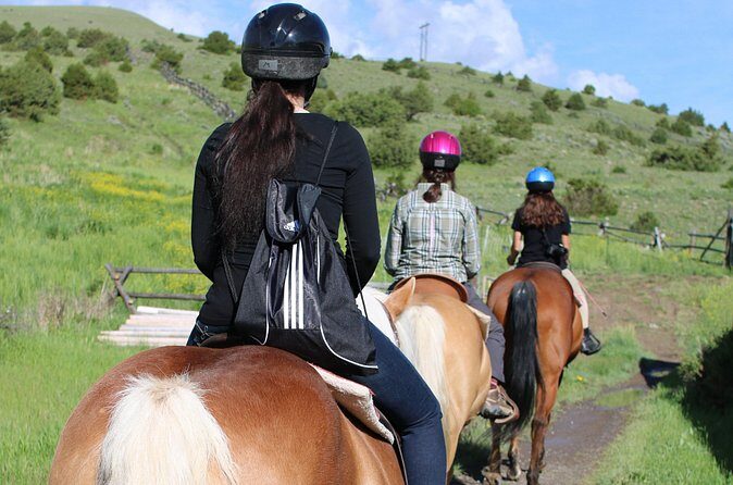 Blue Flower Trail Ride - The Value of the Experience