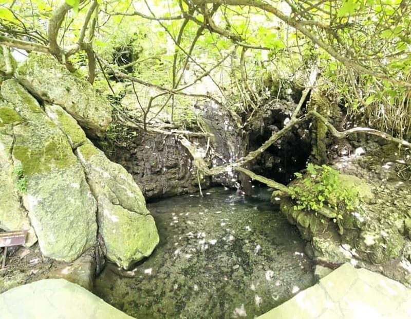 Blue Lagoon (Akamas) Bus & Boat Tour from Paphos - FAQ