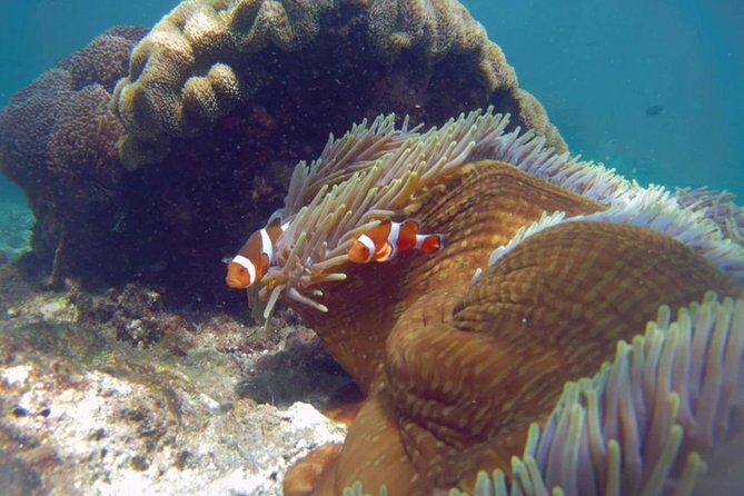 Blue Lagoon Bali Snorkeling with Optional Sightseeing Tour - Practical Tips for Future Travelers