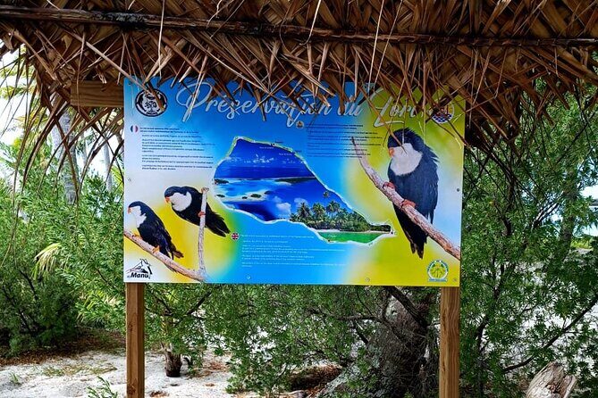 BLUE LAGOON | Eco-tour | Snorkeling Avatoru | Secret Green Lagoon - Final Thoughts: Who Should Consider This Tour?