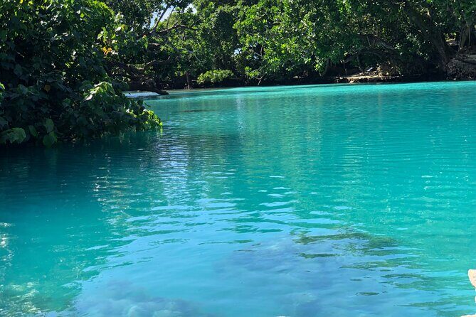 Blue Lagoon Express Bus - Key Points