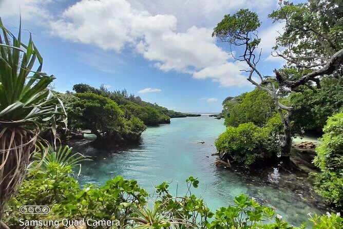 Blue Lagoon Express Bus - The Itinerary: What to Expect