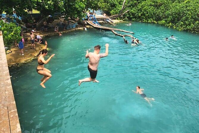 Blue Lagoon Express Bus - Who Will Love This Tour?