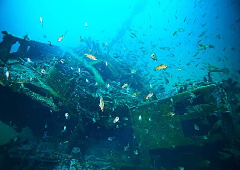 Blue Lagoon: Half-Day Escape - An In-Depth Look at the Blue Lagoon Half-Day Escape