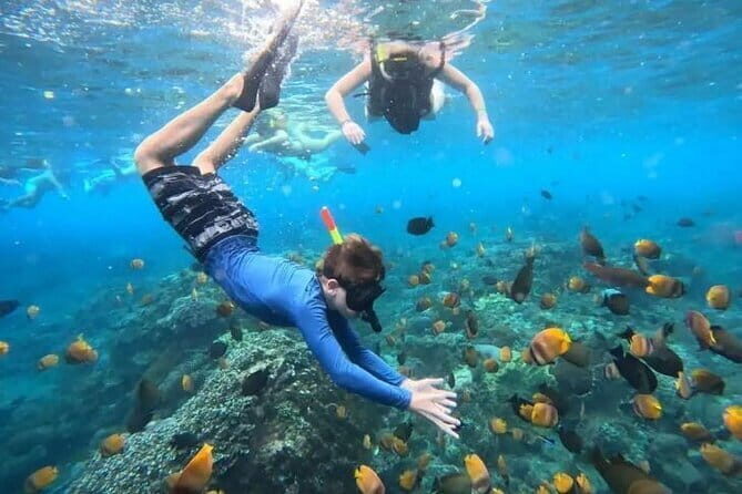 Blue Lagoon Snorkeling and Lunch with Visit Waterfall in Ubud - Exploring the Blue Lagoon Snorkeling and Waterfall Tour in Ubud: An Honest Review