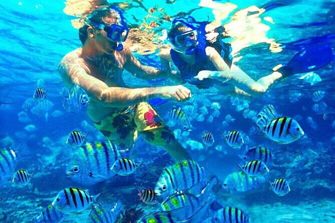 Blue Lagoon Snorkeling and Lunch with Visit Waterfall in Ubud - Why This Tour Offers Great Value