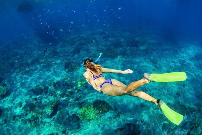 Blue Lagoon Snorkeling and Lunch with Visit Waterfall in Ubud - Frequently Asked Questions (FAQs)