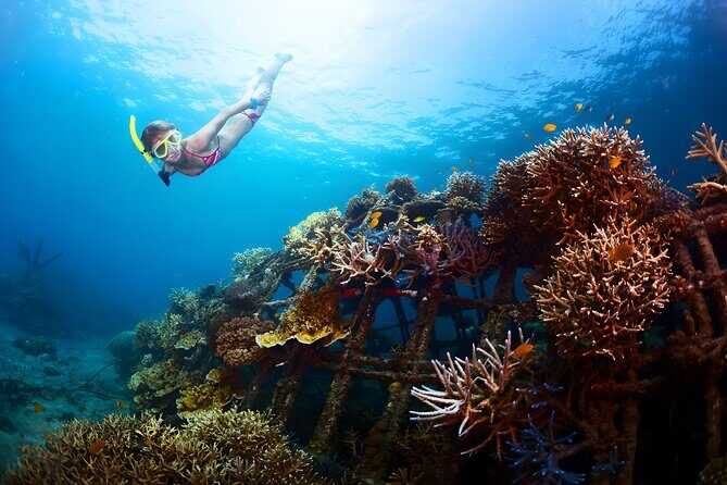 Blue Lagoon Snorkeling and Uluwatu Sunset Tour - A Deep Dive into the Experience
