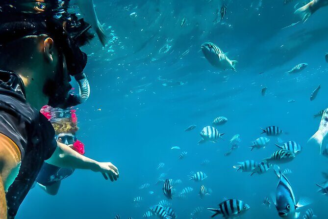 Blue Lagoon Snorkeling - Bali Best Snorkeling Site - Introducing the Experience