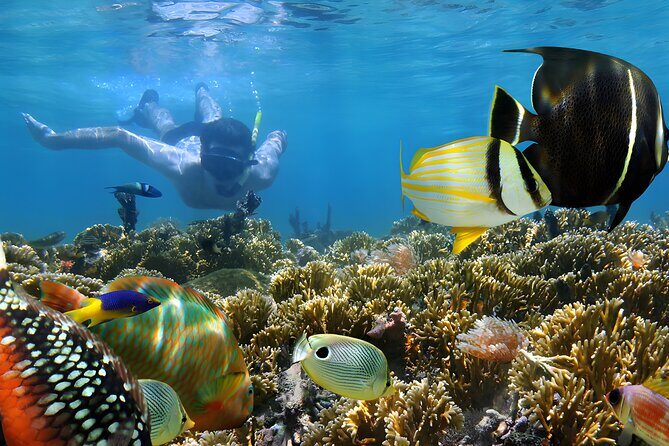 Blue Lagoon Snorkeling - Bali Best Snorkeling Site - Authentic Insights from Reviewers