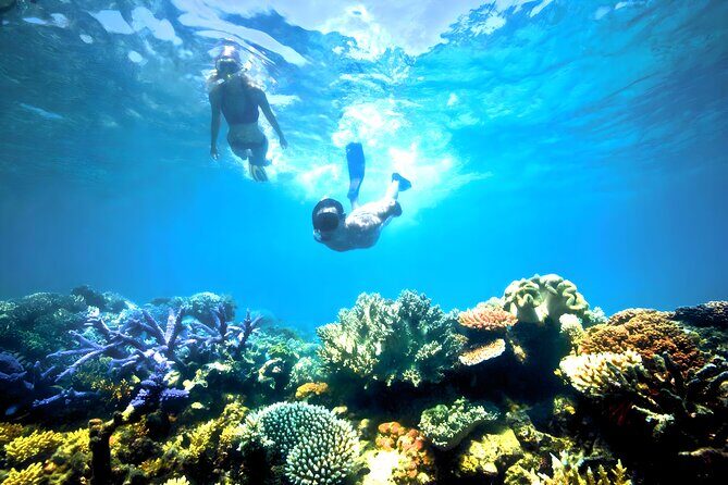 Blue Lagoon Snorkeling - Bali Best Snorkeling Site - Summary