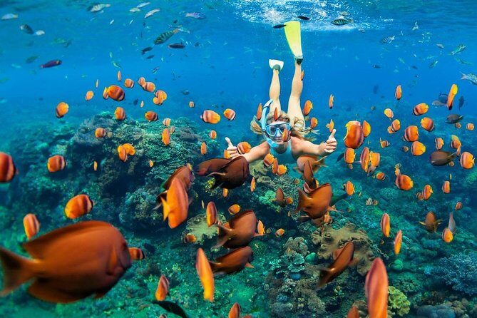 Blue Lagoon Snorkeling - Jungle Swing - Ubud - All Inclusive - The Sum Up: Is This Tour Worth It?
