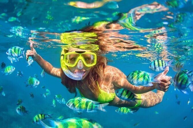 Blue Lagoon Snorkeling - Lunch - Kantolampo - Tibumana Waterfall - Transportation & Logistics: What to Expect