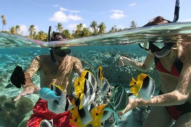 Blue Lagoon Snorkeling - Lunch - Kantolampo - Tibumana Waterfall - FAQs