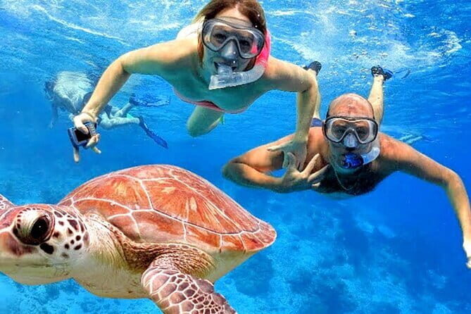 Blue Lagoon Snorkeling with Lunch and Private Transport - What to Expect from the Tour