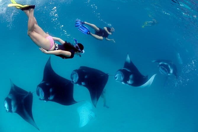 Blue Lagoon Snorkeling with Lunch and Private Transport - The Itinerary in Detail