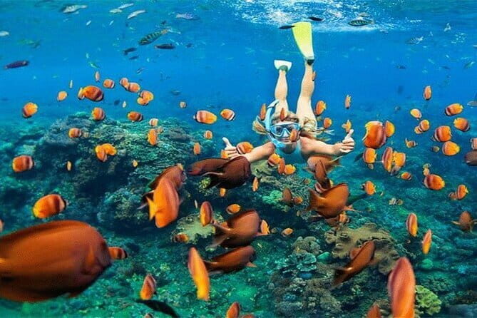 Blue Lagoon Snorkeling with Lunch and Private Transport - Practical Tips for Booking & Making the Most of It
