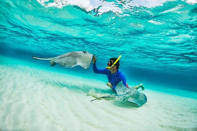 Blue Lagoon Snorkeling with Lunch and Transport - Key Points