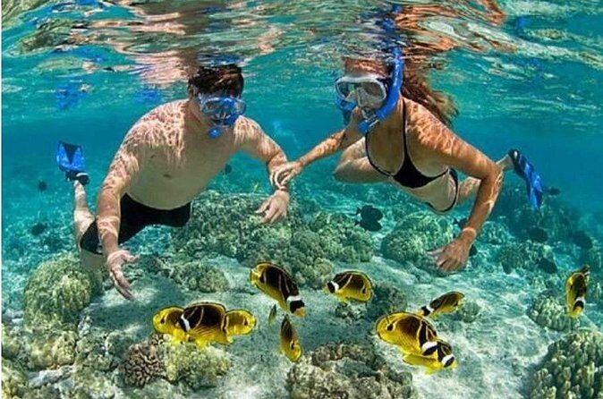 Blue Lagoon Snorkling activities - The Experience from a Traveler’s Perspective