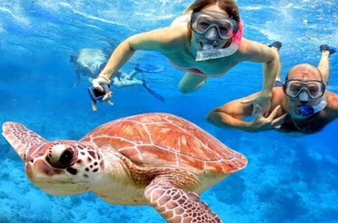 Blue Lagoon Snorkling activities - Who Should Consider This Tour?