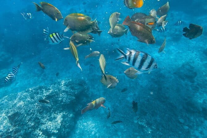 Blue Lagoon & Tanjung Jepun snorkeling with Kanto Lampo WaterFall and Monkey bar - What to Expect from This Bali Adventure