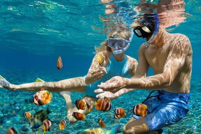 Blue Lagoon & Tanjung Jepun snorkeling with Kanto Lampo WaterFall and Monkey bar - Authentic Insights from Past Participants