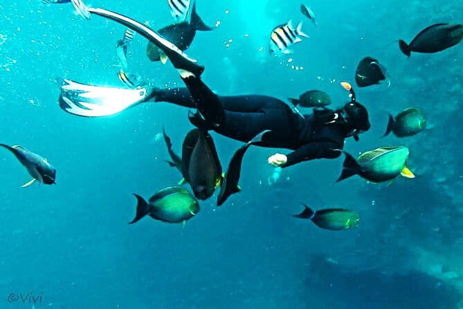 Blue Lagoon & Tanjung Jepun snorkeling with Kanto Lampo WaterFall and Monkey bar - FAQ