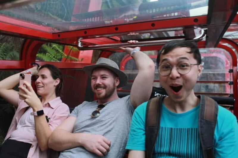 Blue Mountain Tour + Hop-on-Hop-off Big Bus Discover Ticket - Key Points