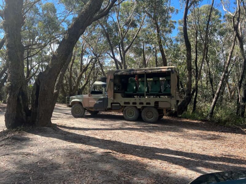 Blue Mountains 90 Minute Army Truck Adventures - Who Will Love This Tour?