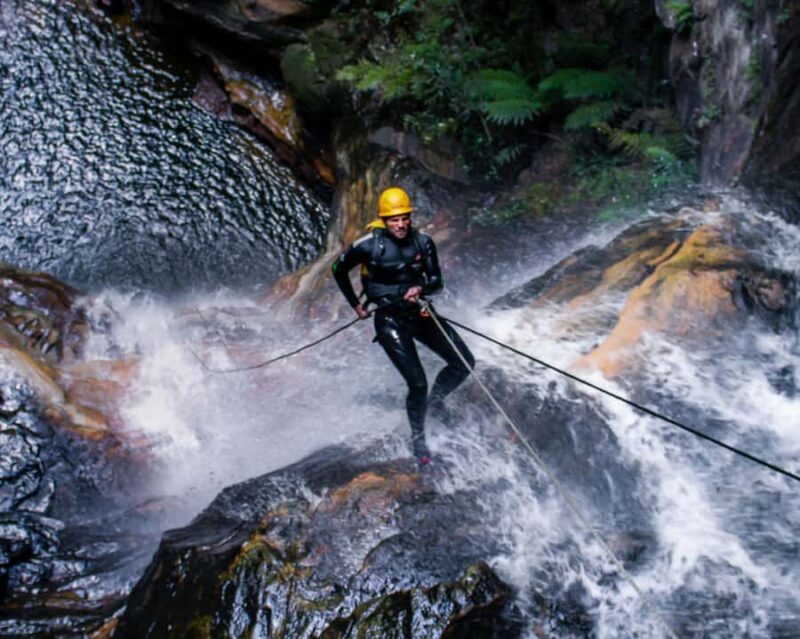 Blue Mountains: Abseiling and Canyoning Experience - Key Points
