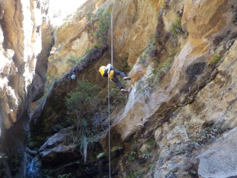 Blue Mountains: Abseiling and Canyoning Experience - The Experience Itself: What You Can Expect