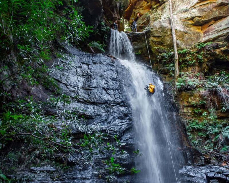 Blue Mountains: Abseiling and Canyoning Experience - Final Thoughts