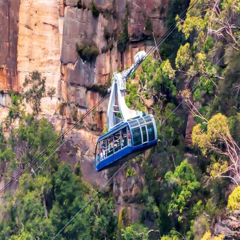 Blue Mountains Adventure: Wild Boar Rock & Cable Car - Who Will Love This Tour?