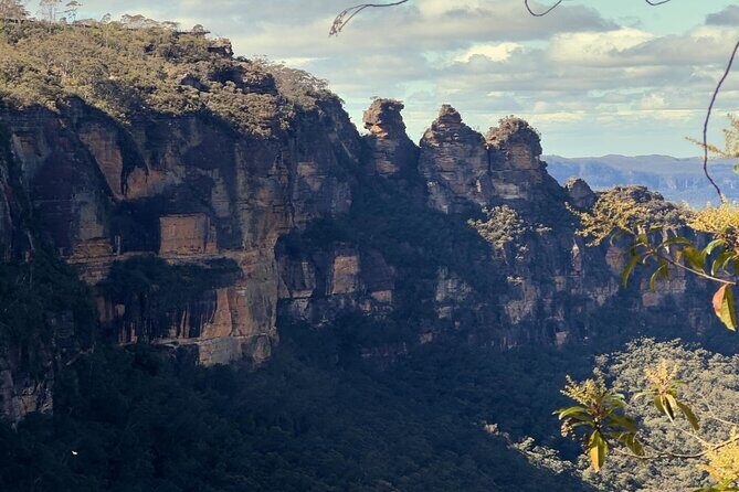 Blue Mountains and Australian Native Animals - Discover the Blue Mountains and Australian Native Animals: An In-Depth Review