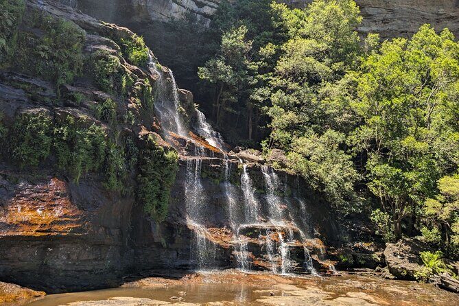 Blue Mountains Day Tour : Featherdale & Bush walk (15 ppl LUX) - Final Thoughts: Is This Tour for You?