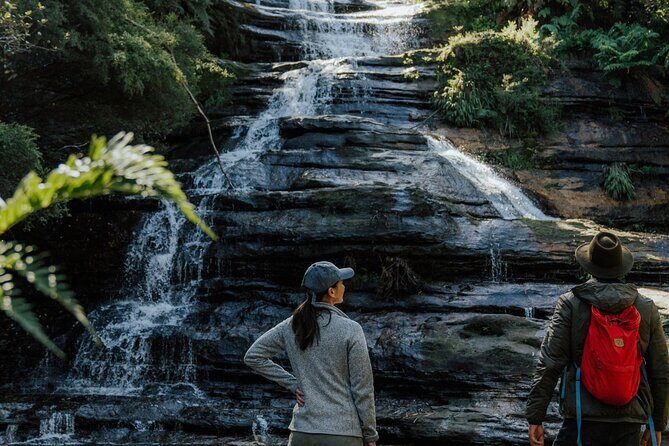 Blue Mountains Day Tour : Featherdale & Bush walk (15 ppl LUX) - FAQ