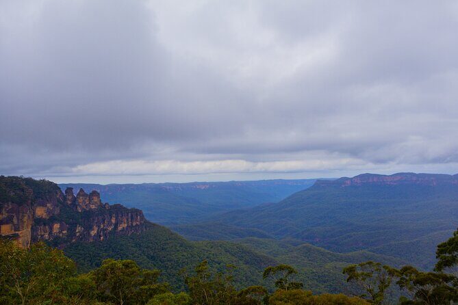 Blue Mountains Day Tour from Sydney - Starting the Day: Sydney Zoo and Early Wildlife Encounters