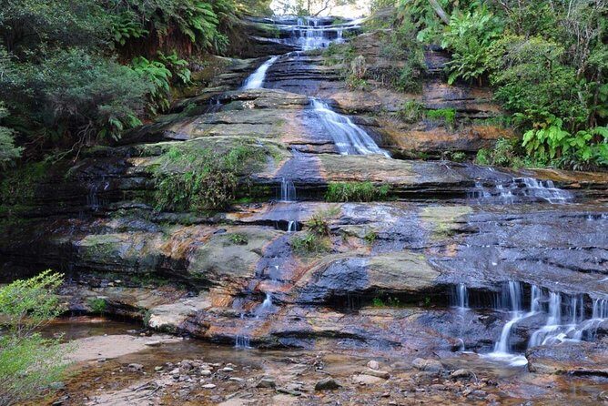 Blue Mountains Day Tour :Wildlife, Waterfall Walk & Three Sisters - The Sum Up