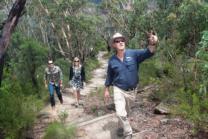 Blue Mountains Day Tour With Bushwalks, Waterfalls & Featherdale - The Itinerary in Detail