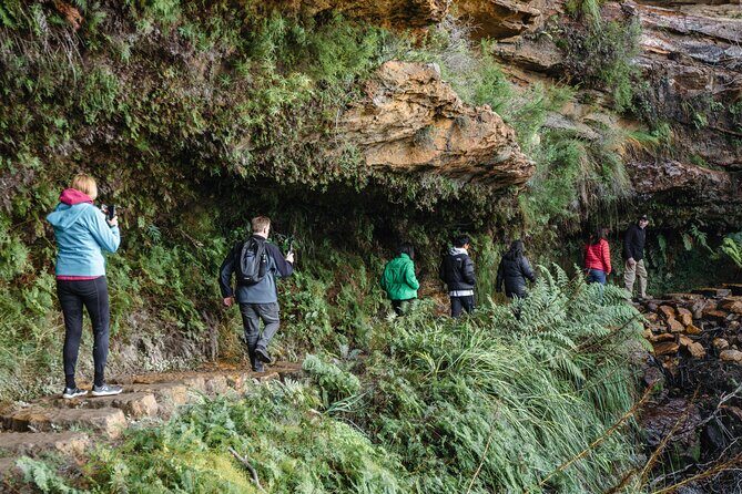 Blue Mountains Day Tour With Bushwalks, Waterfalls & Featherdale - The Value in the Experience