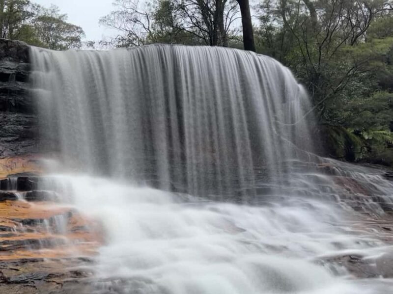 Blue Mountains day tour with Cruise, Scenic world pass & Zoo - Who Would Love This Tour?