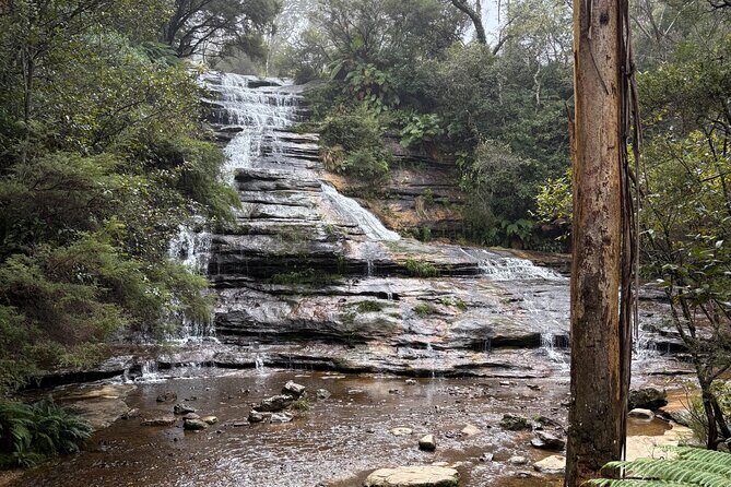Blue Mountains Day Tours W Scenic World and Lunch - An In-Depth Look at the Blue Mountains Tour