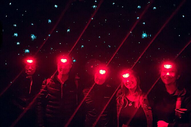 Blue Mountains Hiking Glow worms Cave Wildlife Spotlighting Night Adventure - The Itinerary in Detail