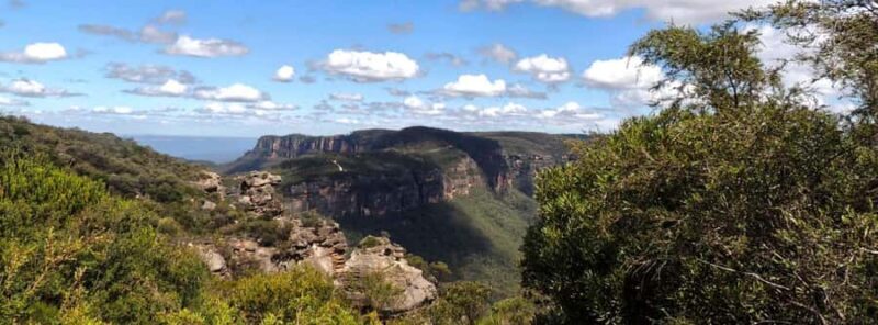 Blue Mountains: Inside a World Heritage National Park - Price and Value